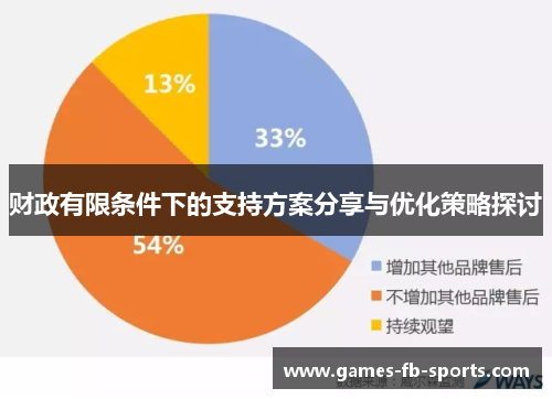 财政有限条件下的支持方案分享与优化策略探讨
